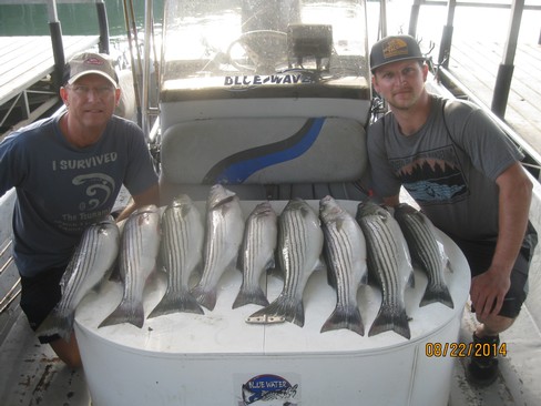 Nice Striped Bass